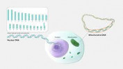 Genome & Co.